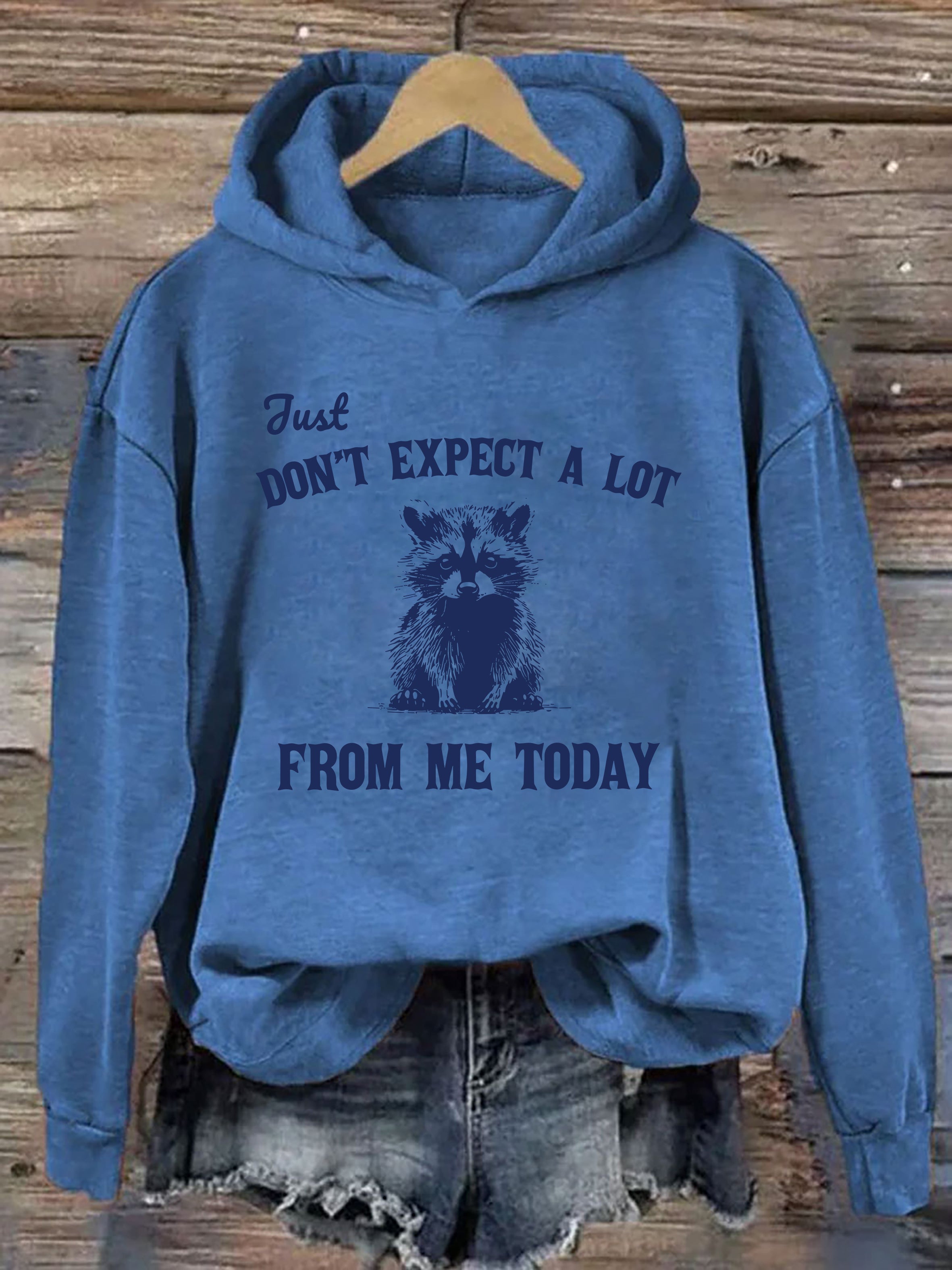Don't Expect A Lot From Me Today Hoodie