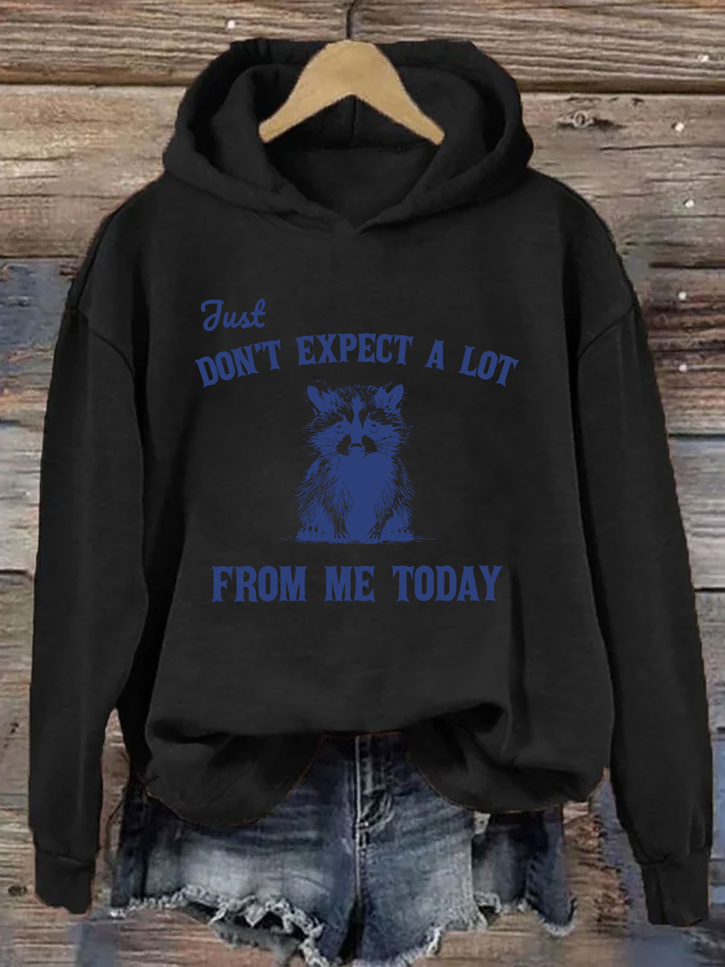 Don't Expect A Lot From Me Today Hoodie