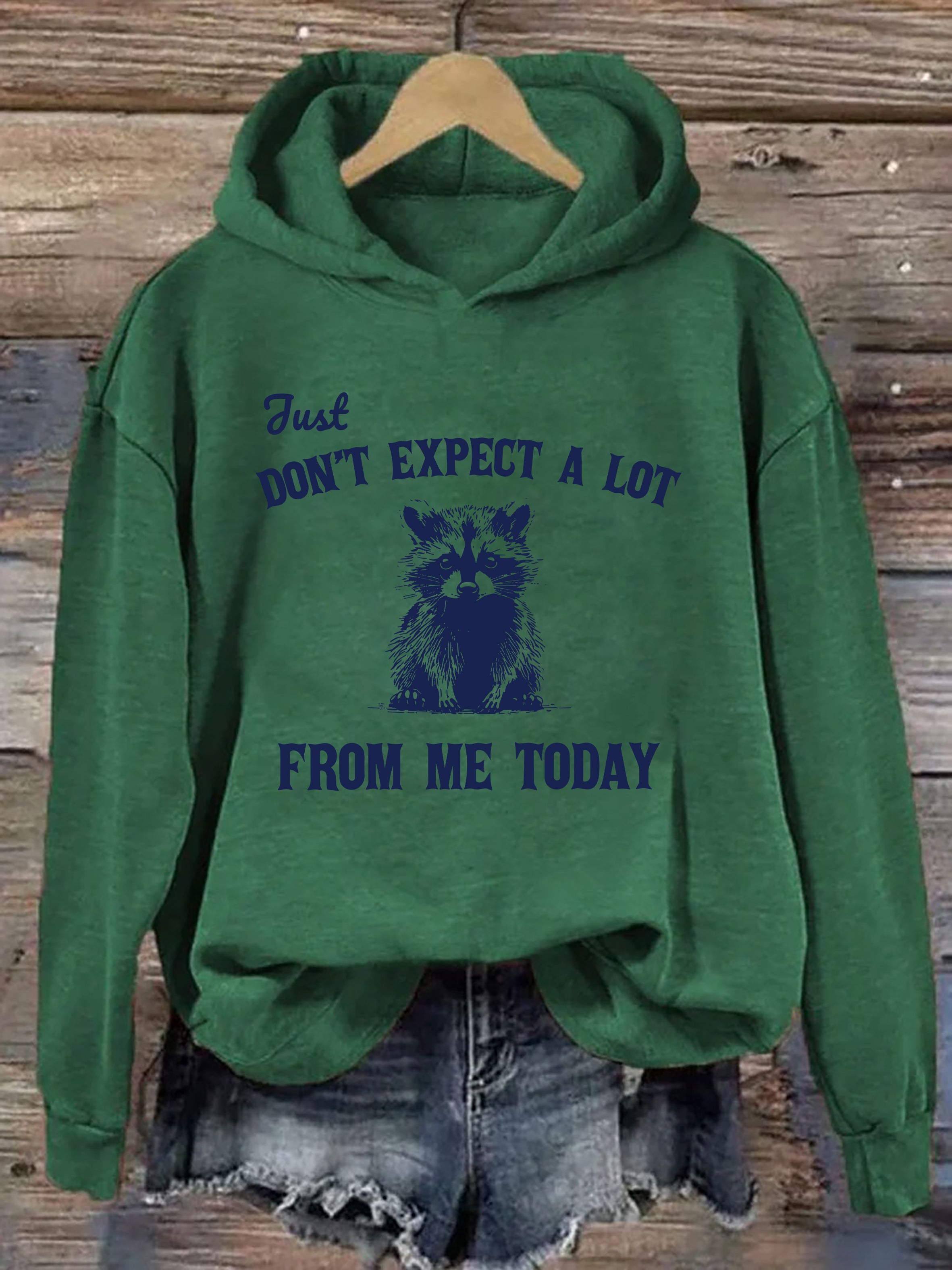 Don't Expect A Lot From Me Today Hoodie